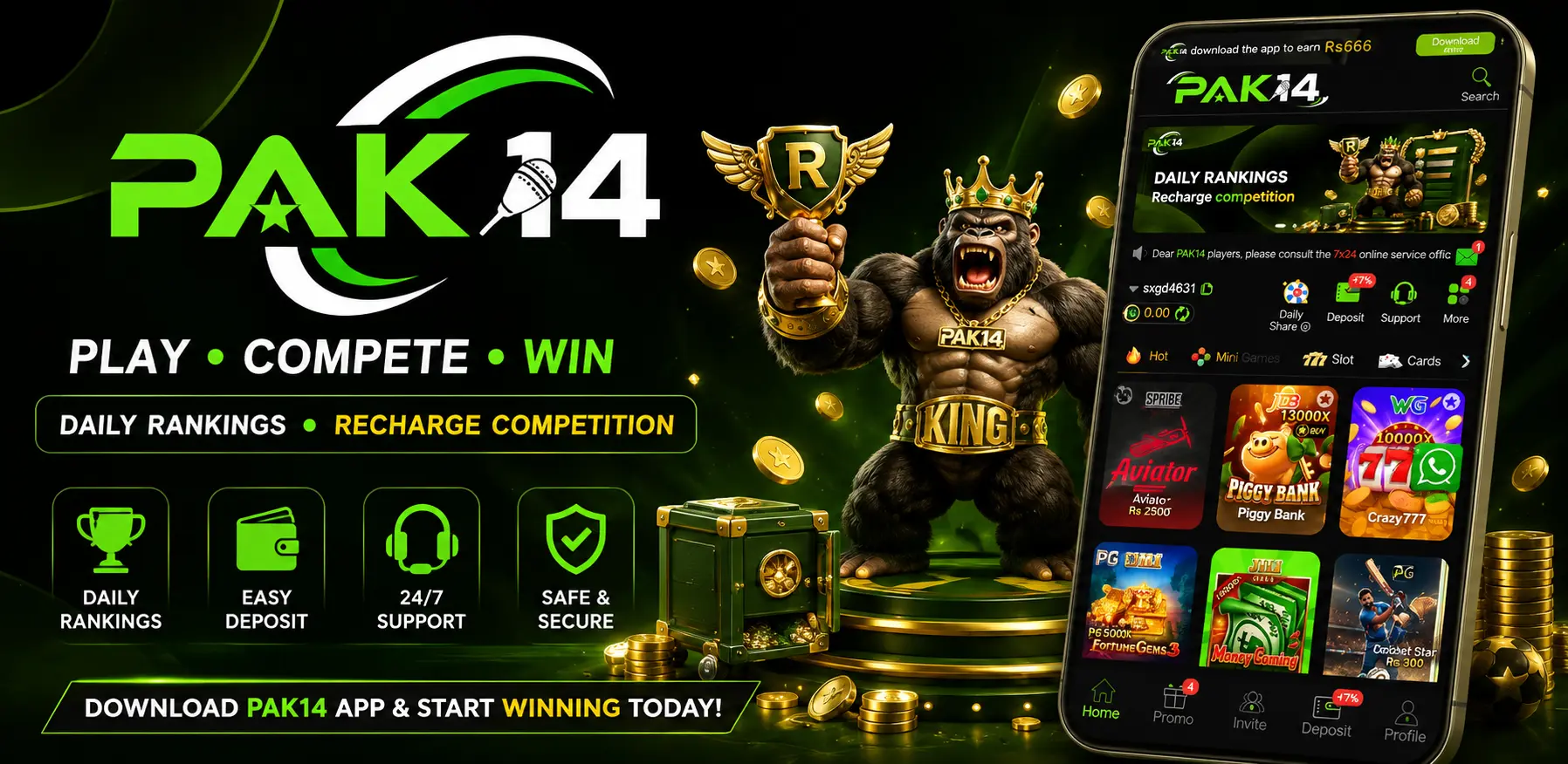 Pak14 Game