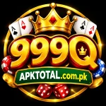 999Q Game